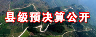 縣級(jí)預(yù)決算公開(kāi)