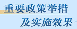 重要政策舉措及實(shí)施效果